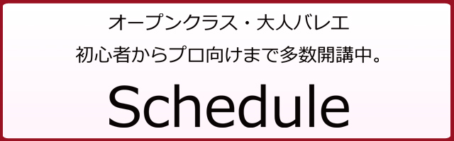 スケジュール