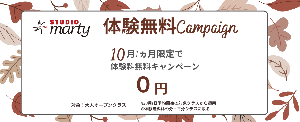 バレエアンサンブルガラ関東チケット