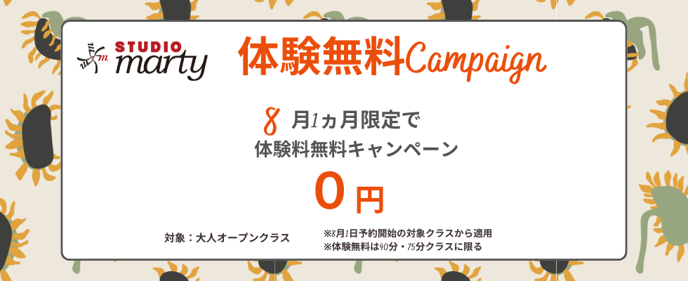 バレエアンサンブルガラ関東チケット